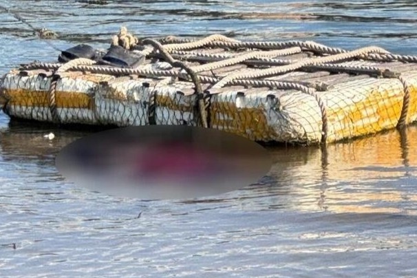 Phat hien thi the noi tren cua bien Nhat Le hinh anh