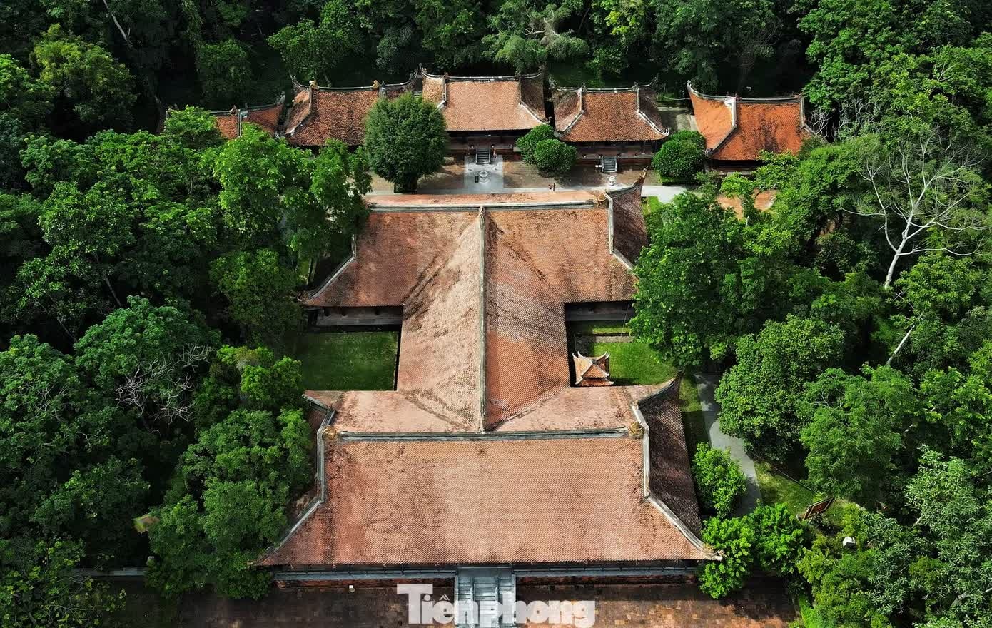 ngai vua anh 2