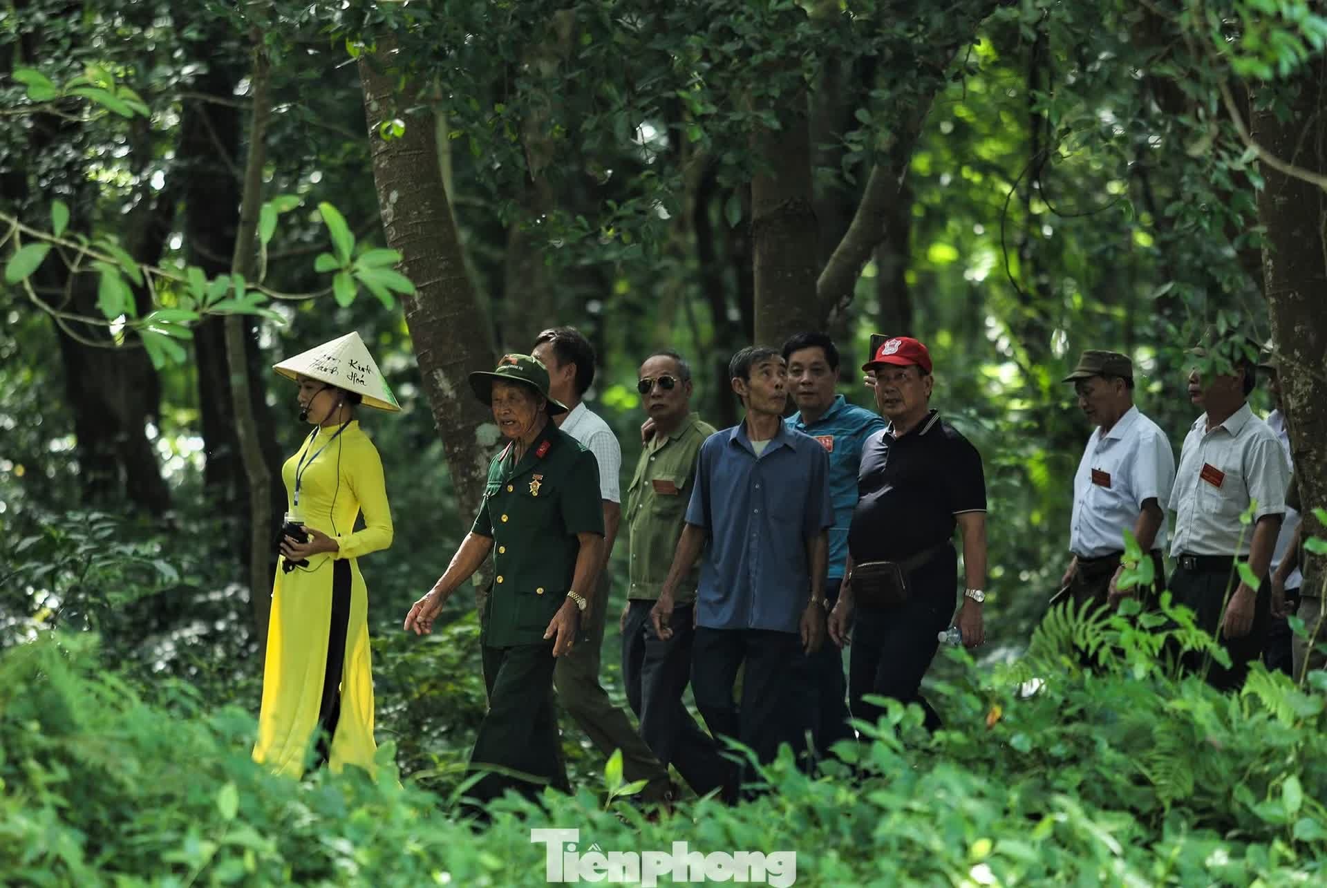 ngai vua ảnh 12 ngai vua anh 12