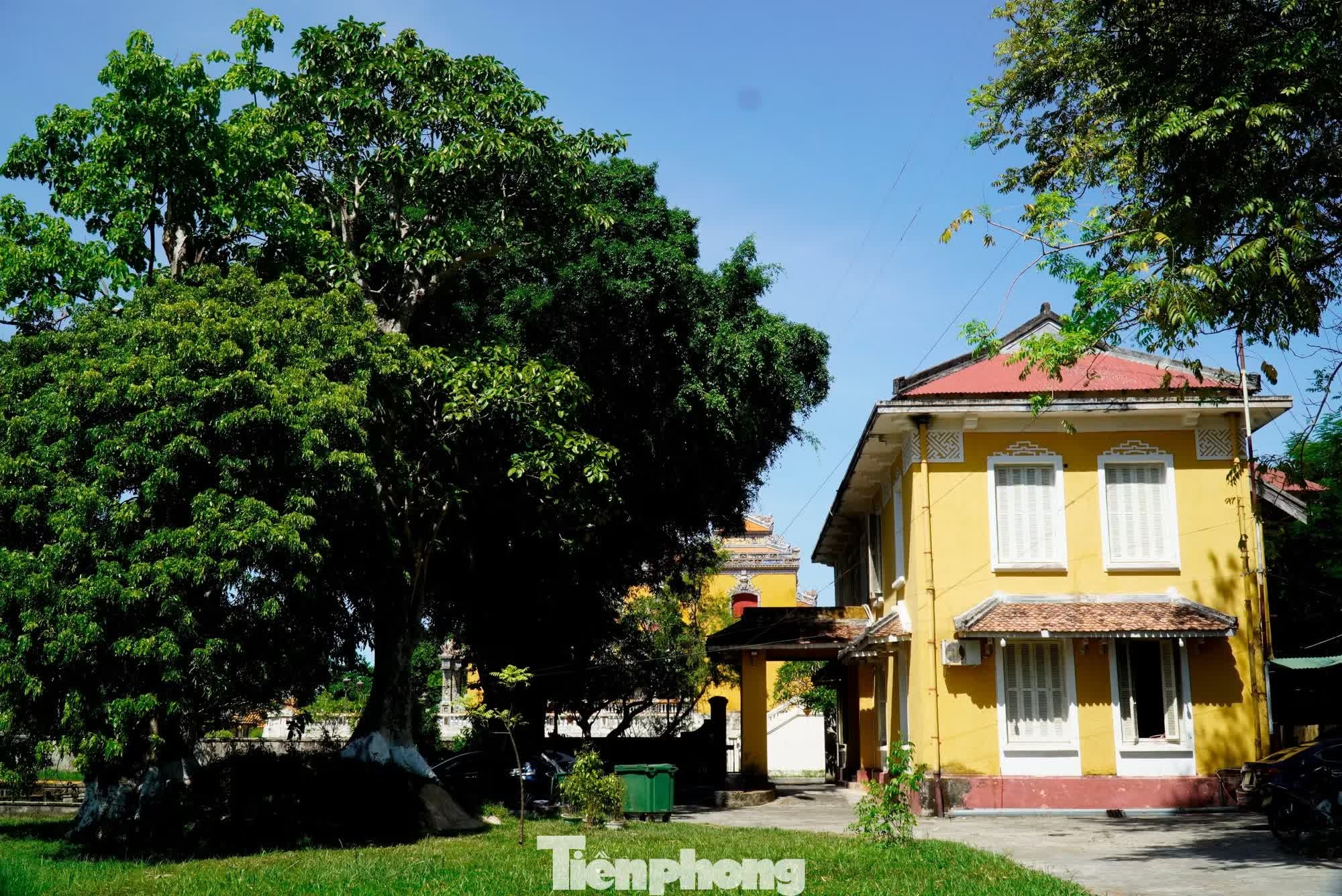 Hoang thanh Hue anh 3