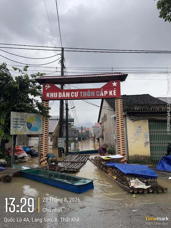 ngập ảnh 9