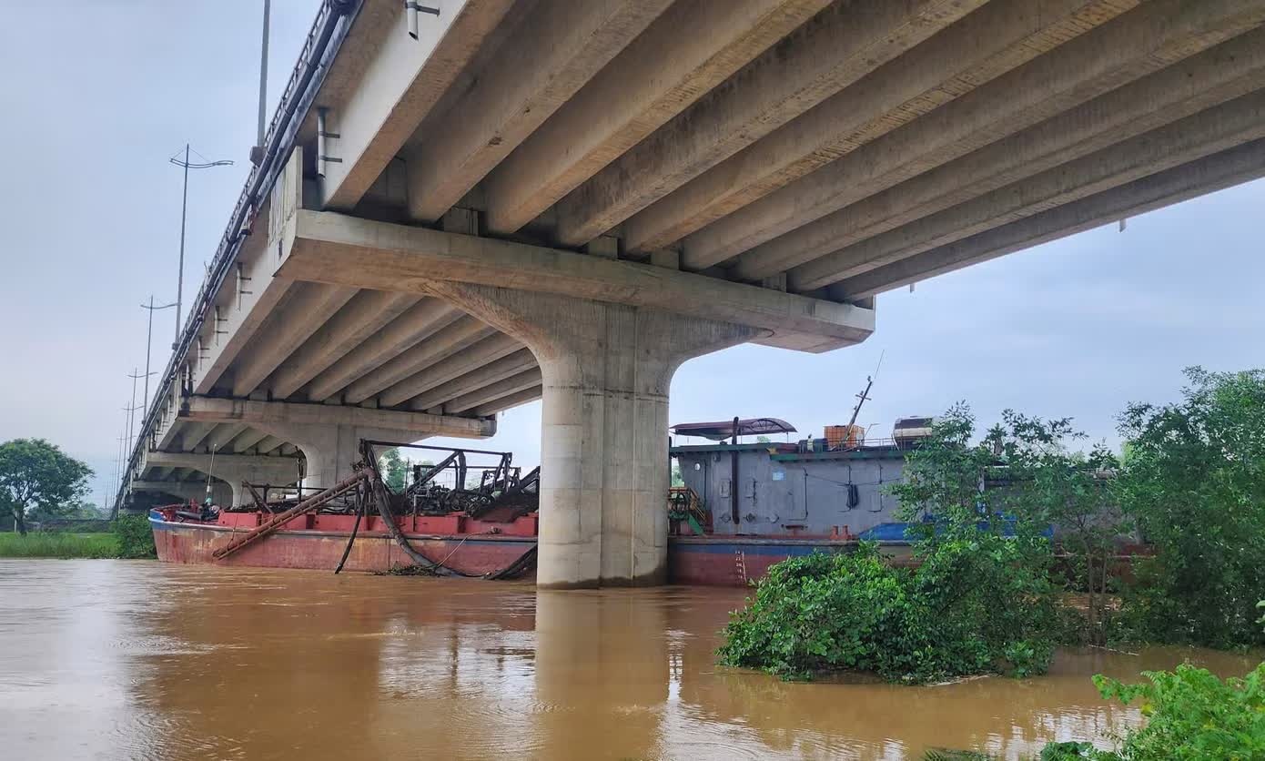 t&agrave;u h&uacute;t c&aacute;t ảnh 1