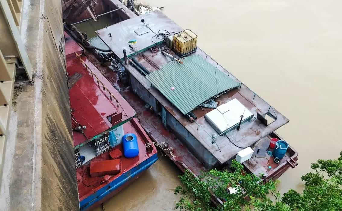 t&agrave;u h&uacute;t c&aacute;t ảnh 2