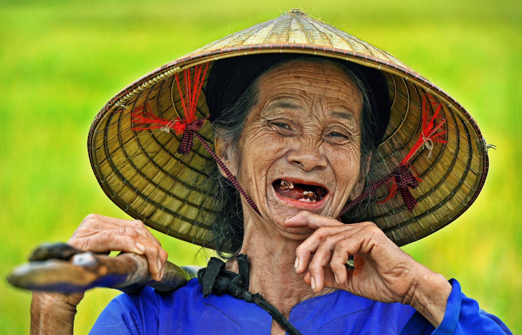 Trần Thế Phong ảnh 5