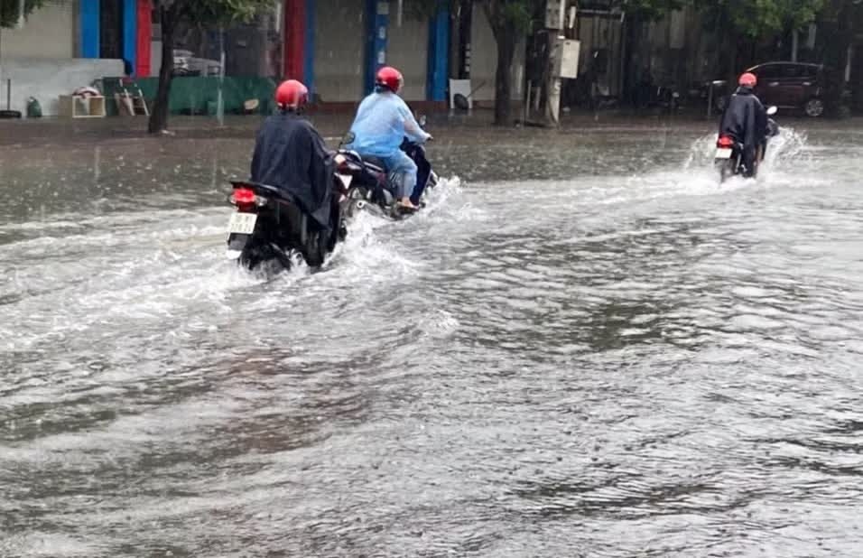 ngập &uacute;ng ảnh 1