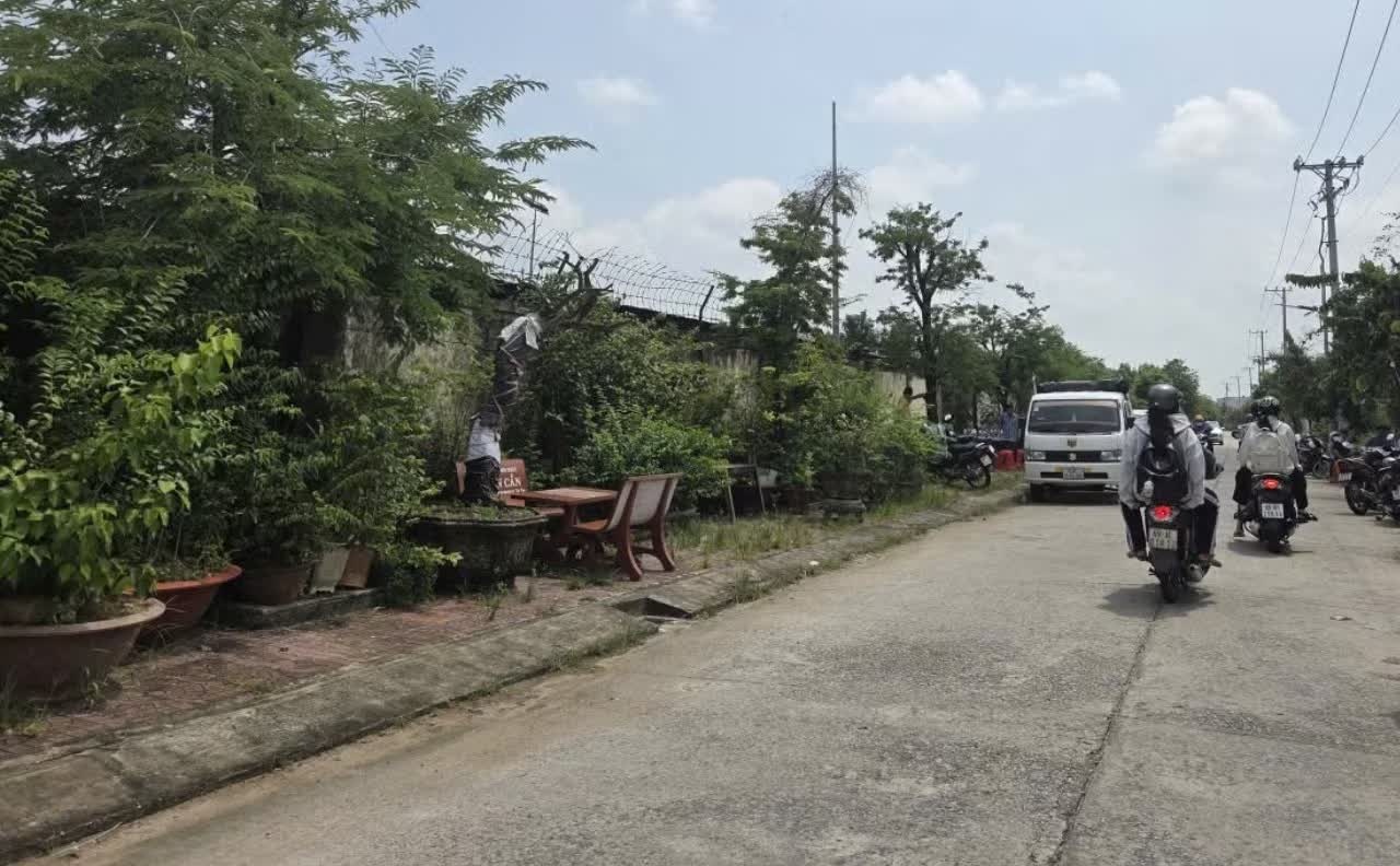 C&agrave; Mau ảnh 3