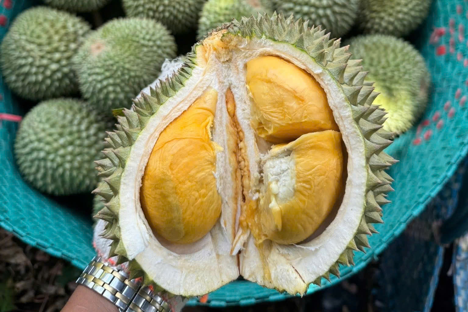 Kien nghi lam ro trach nhiem vu sau rieng bi tra vi du luong Cadimi hinh anh