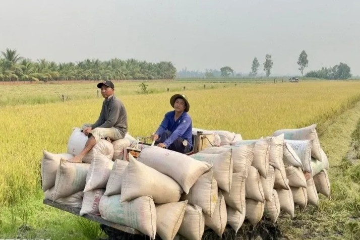 Xuat khau nong san: Khang dinh thuong hieu, huong den nhung ky luc moi hinh anh