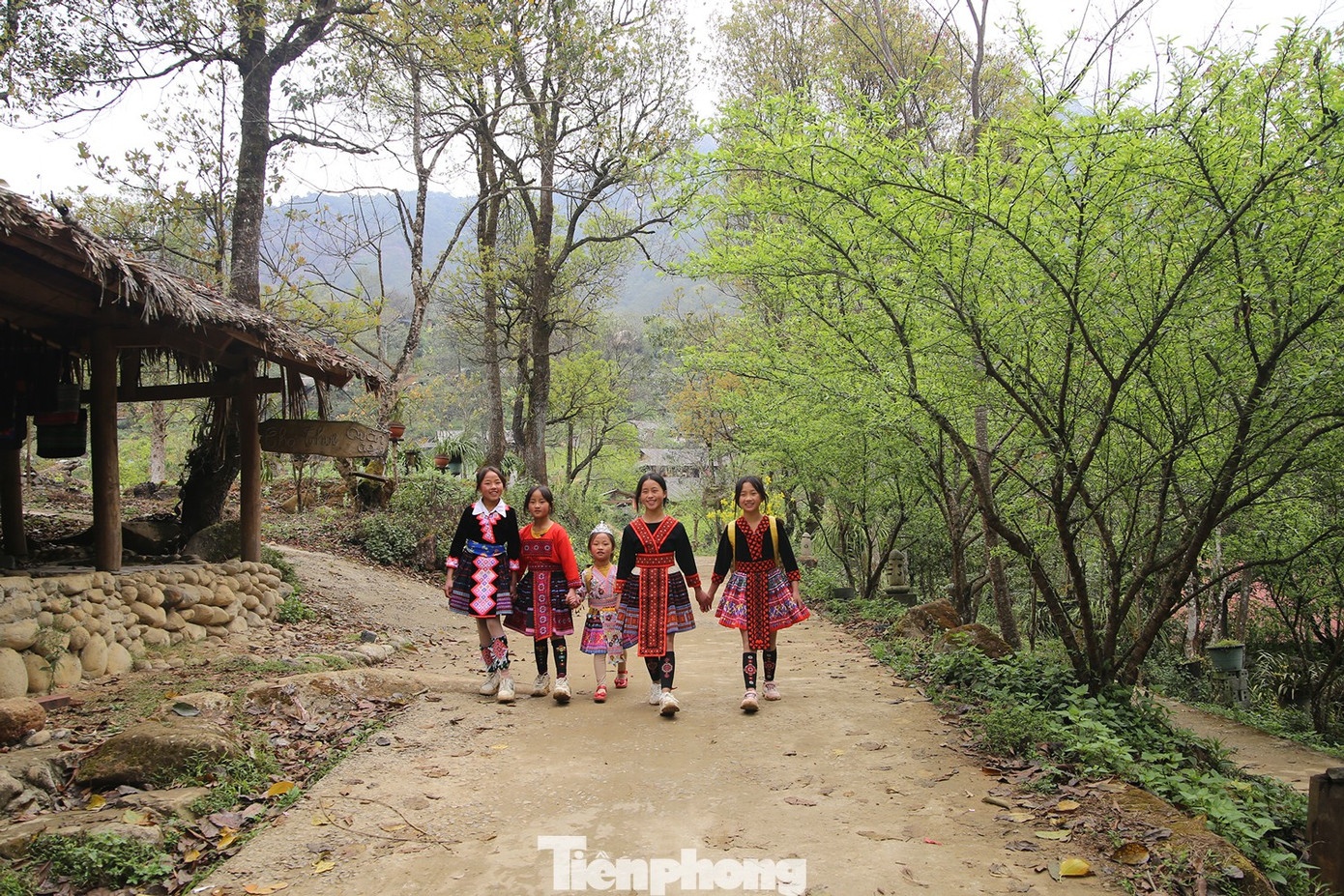 cao diem ban ve Tet,  duong sat,  hang khong,  lu hanh anh 3