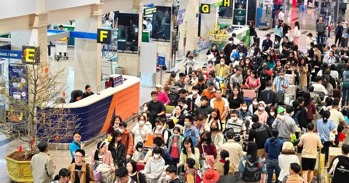 Tour du lich tang manh, ve may bay, tau xe Tet co cang thang? hinh anh