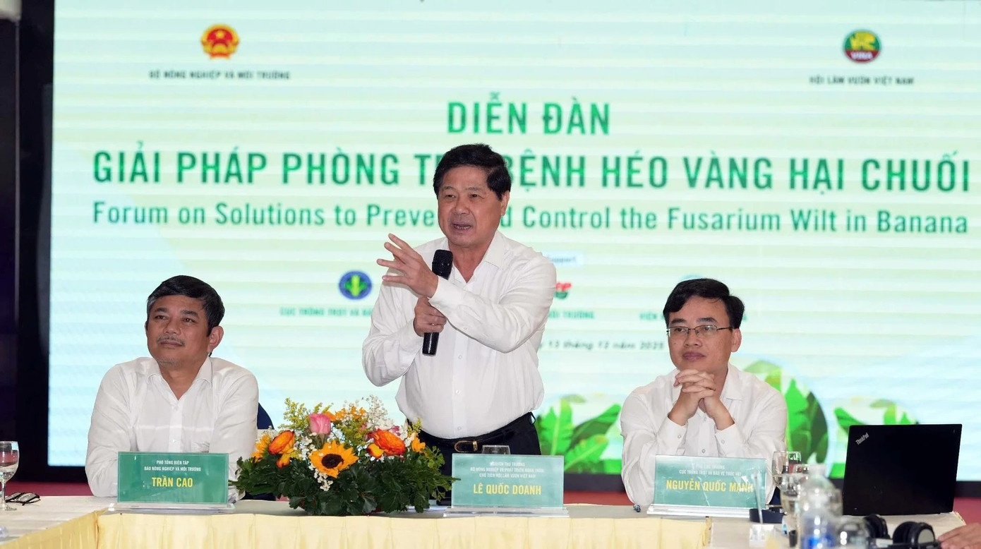 xuat khau chuoi anh 3