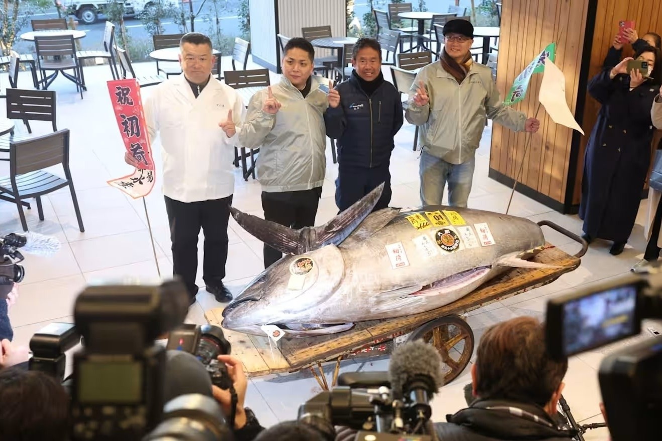 Nhat Ban sap to chuc phien dau gia ca 'dac biet' hinh anh