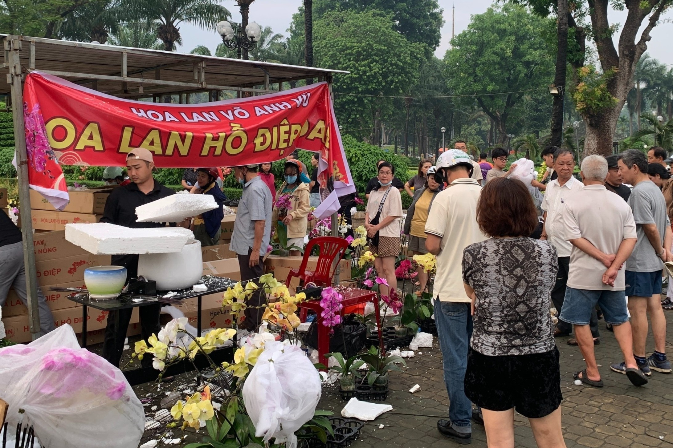 Nguoi dan do xo mua lan kieng ve choi Tet hinh anh