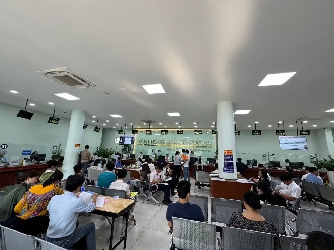 so hong anh 1