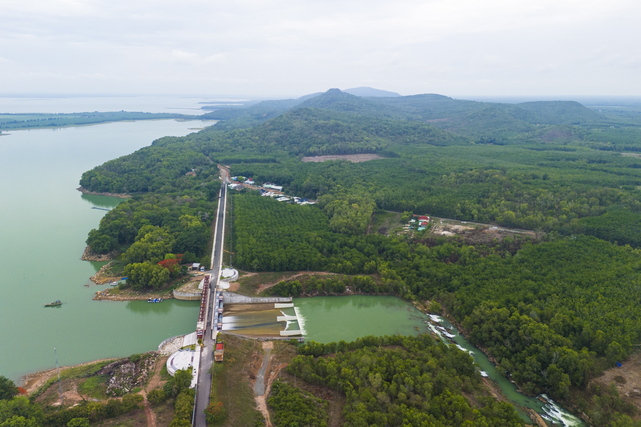 Dau Tieng anh 6