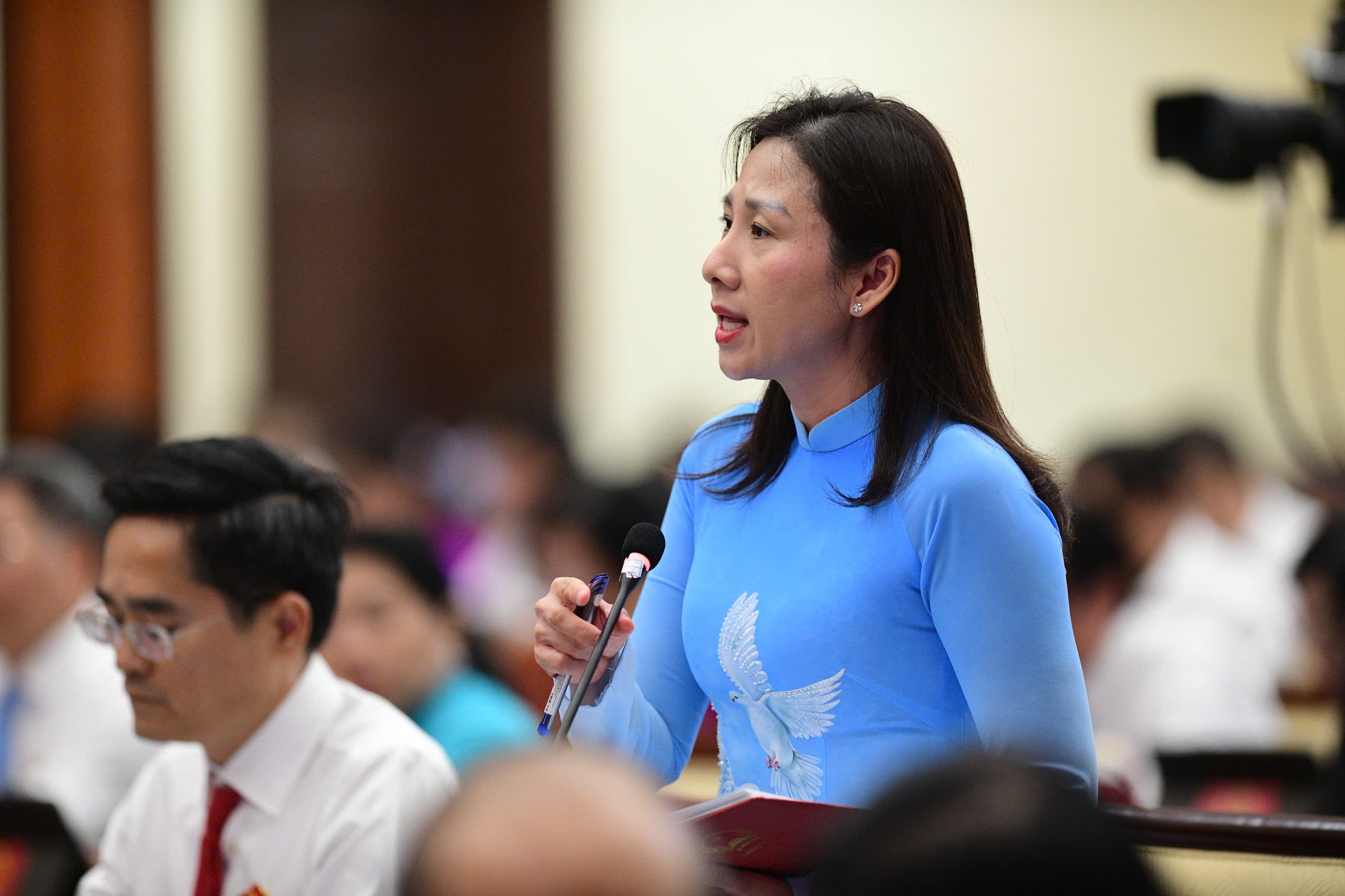 Hon 165 ty dong tri an nguoi hoat dong khong chuyen trach o TP.HCM hinh anh