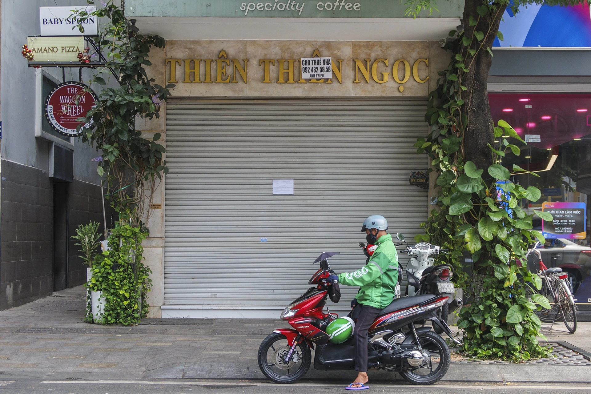 kim cương ảnh 4