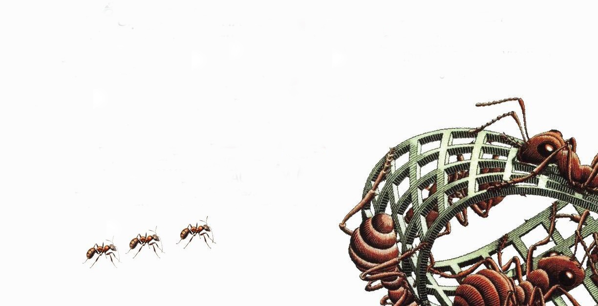 Nha van Bernard Werber anh 1