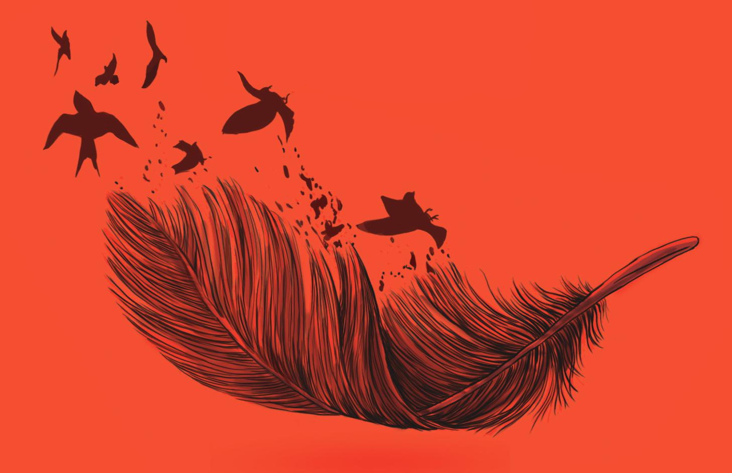 Tai sao ho ten nguoi My ban dia lai duoc dat theo mau sac? hinh anh