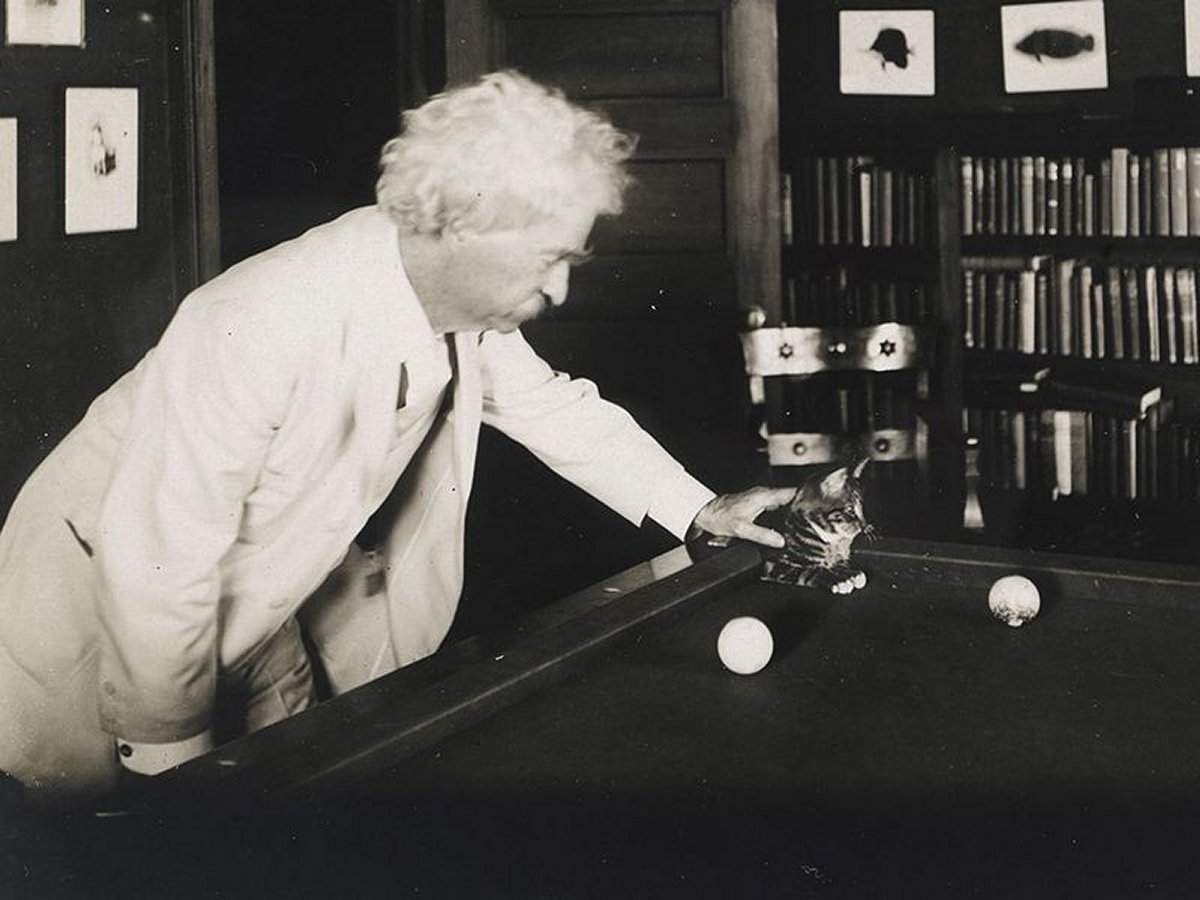 Nhung nha van cuong meo anh 1