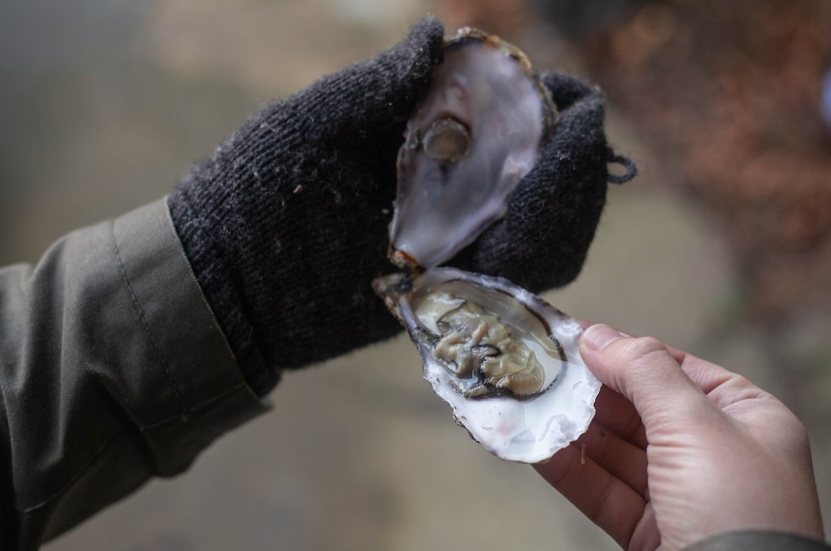 Cuon sach lat nguoc lai chuyen chua ke cua cac nha phat minh hinh anh