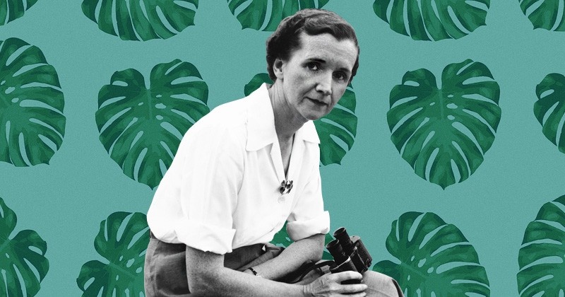 'Mua xuan vang lang' - khoi nguon cho phong trao bao ve moi truong hinh anh