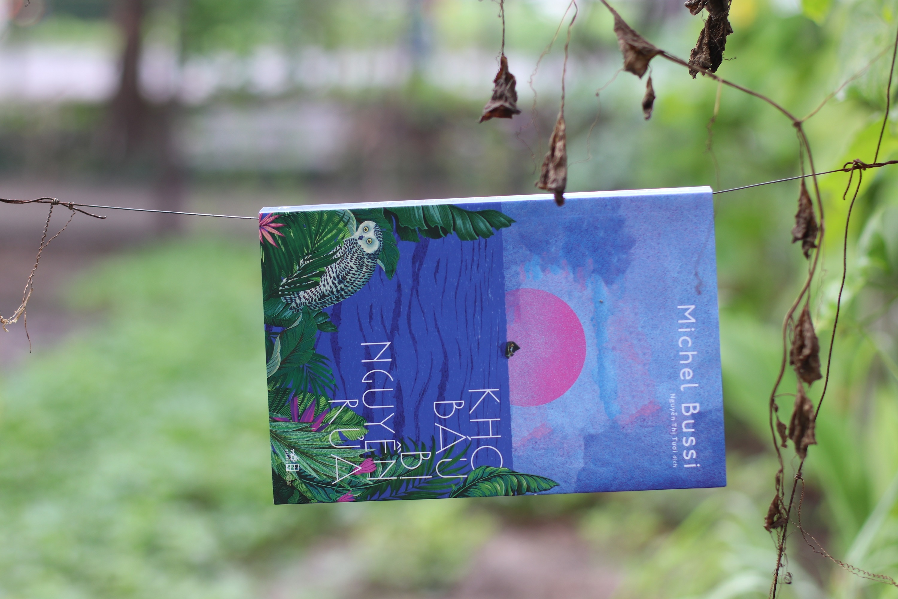 Review sach Kho bau bi nguyen rua anh 1