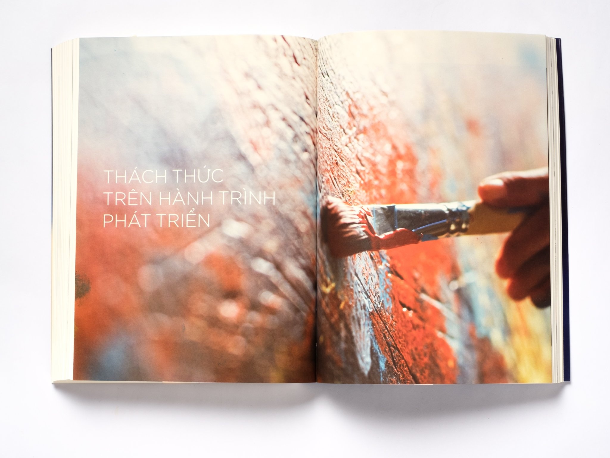 Net da dang cua doi song nghe thuat Viet Nam hinh anh