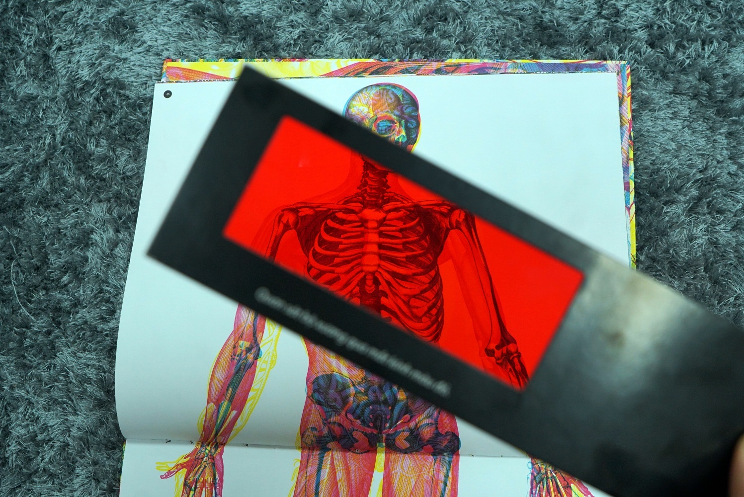 Sach 'Soi sang co the nguoi' co thiet ke nhu may chup X-quang hinh anh