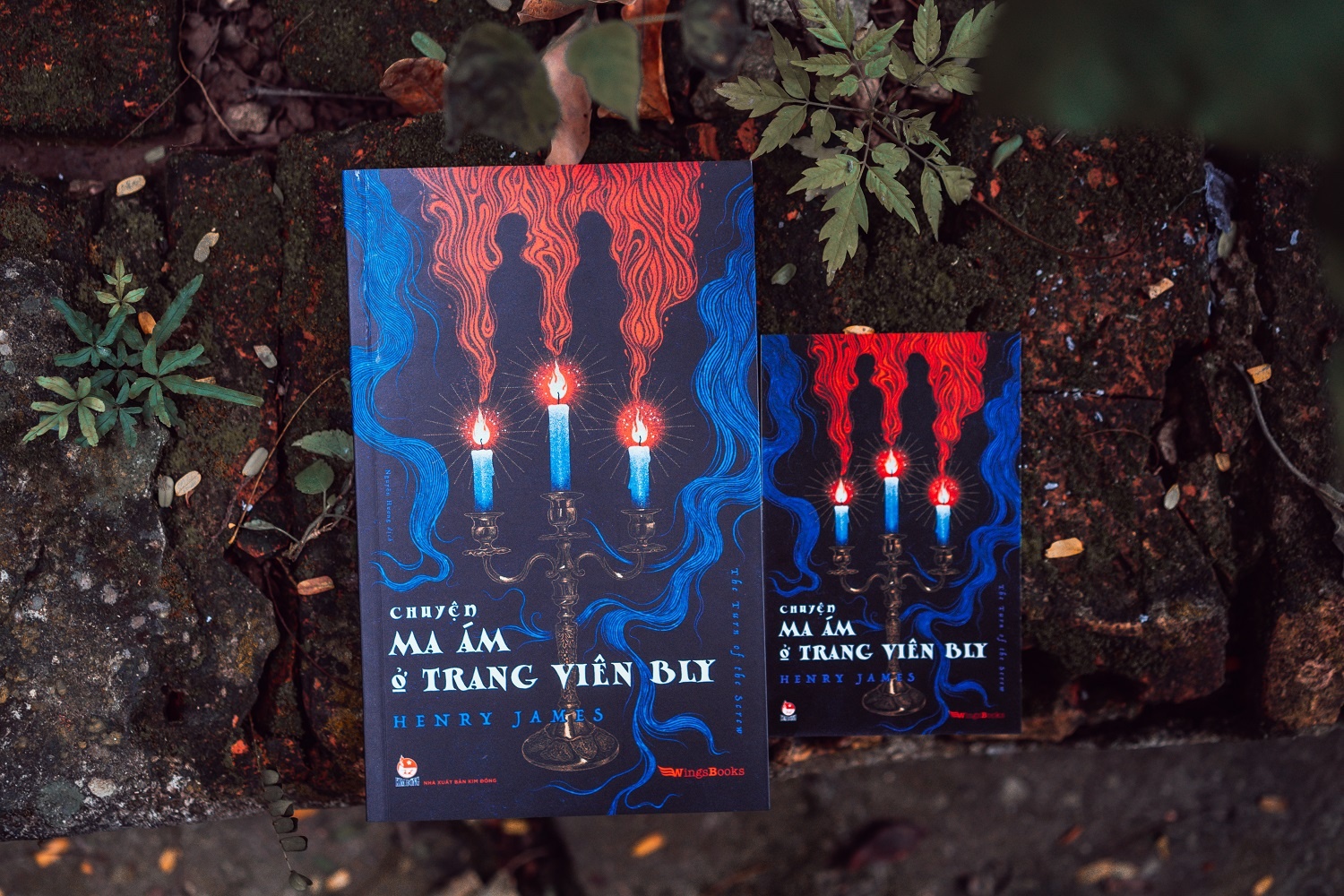 Tac gia sach kinh di anh 2