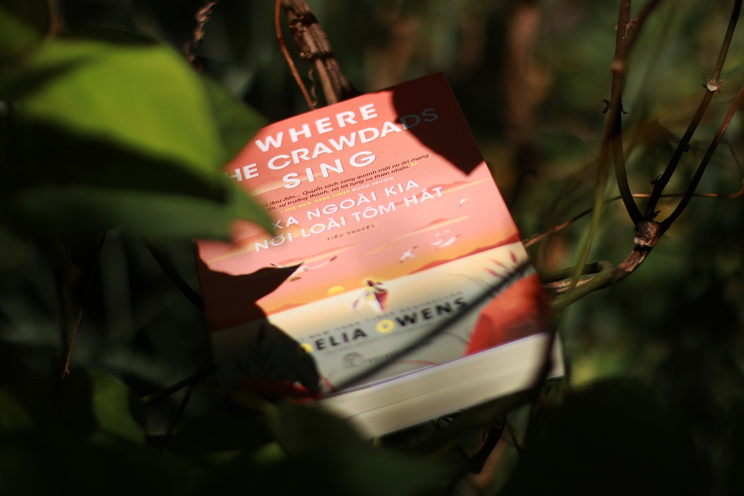 Review sach Xa ngoai kia noi loai tom hat anh 1