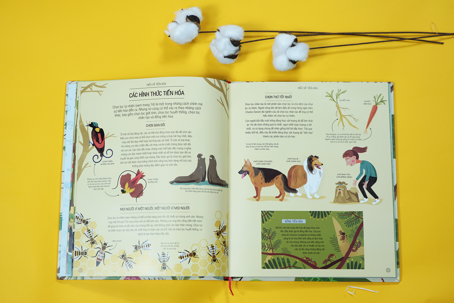 Sach khuyen khich tre em khat khao kham pha the gioi anh 2