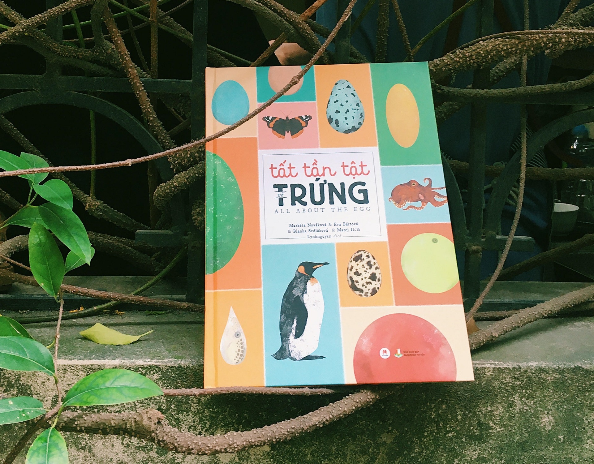 Sach Tat tan tat ve trung anh 1