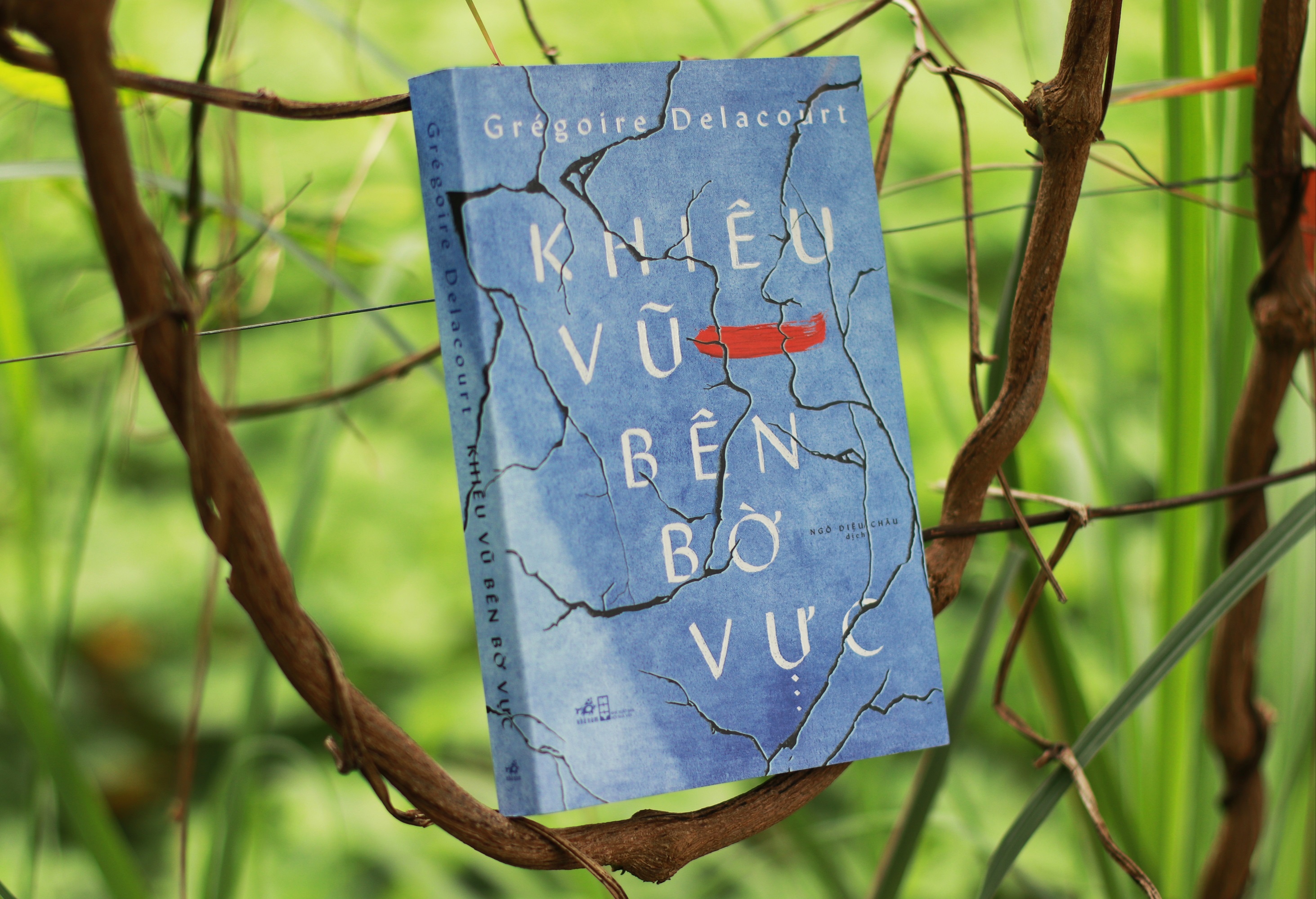 Duc vong don hen hay cai dep cua su phan boi hinh anh