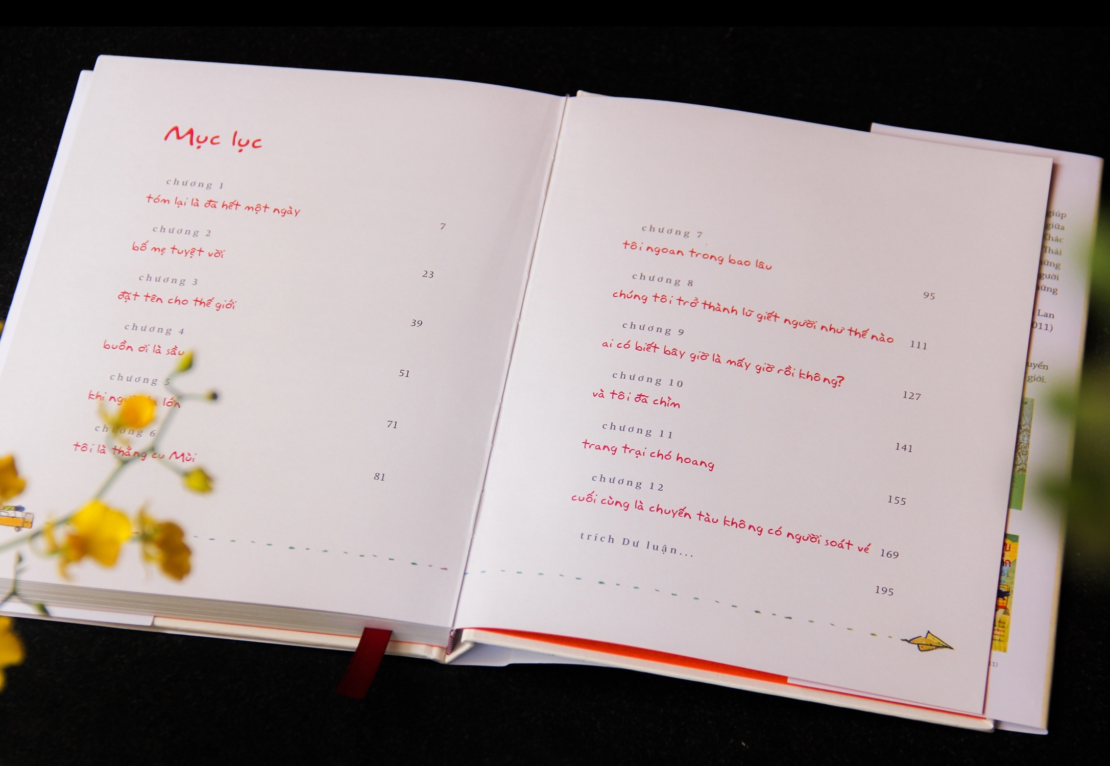 Cho toi xin mot ve di tuoi tho ban dac biet anh 8