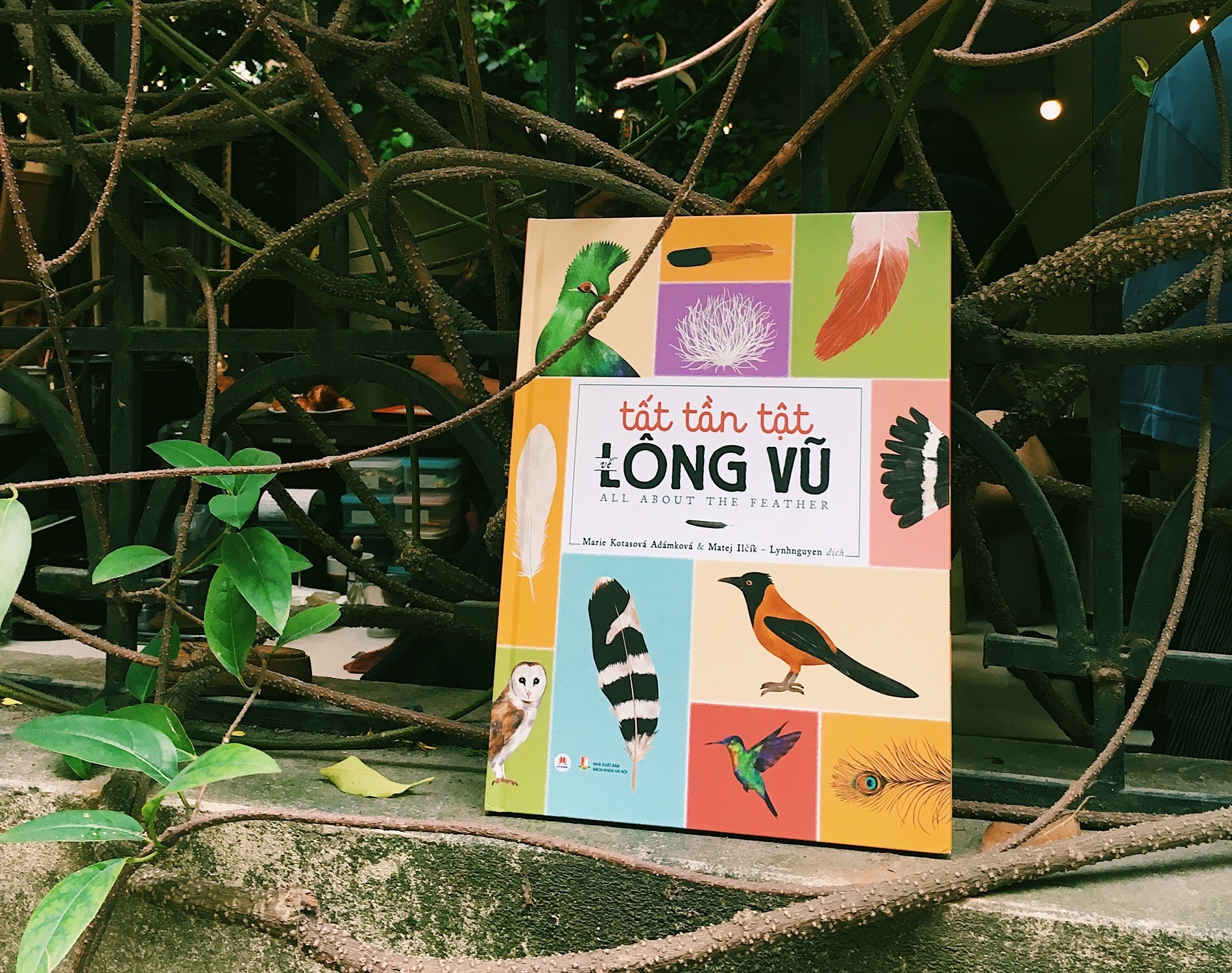 Tat tan tat ve long vu anh 1