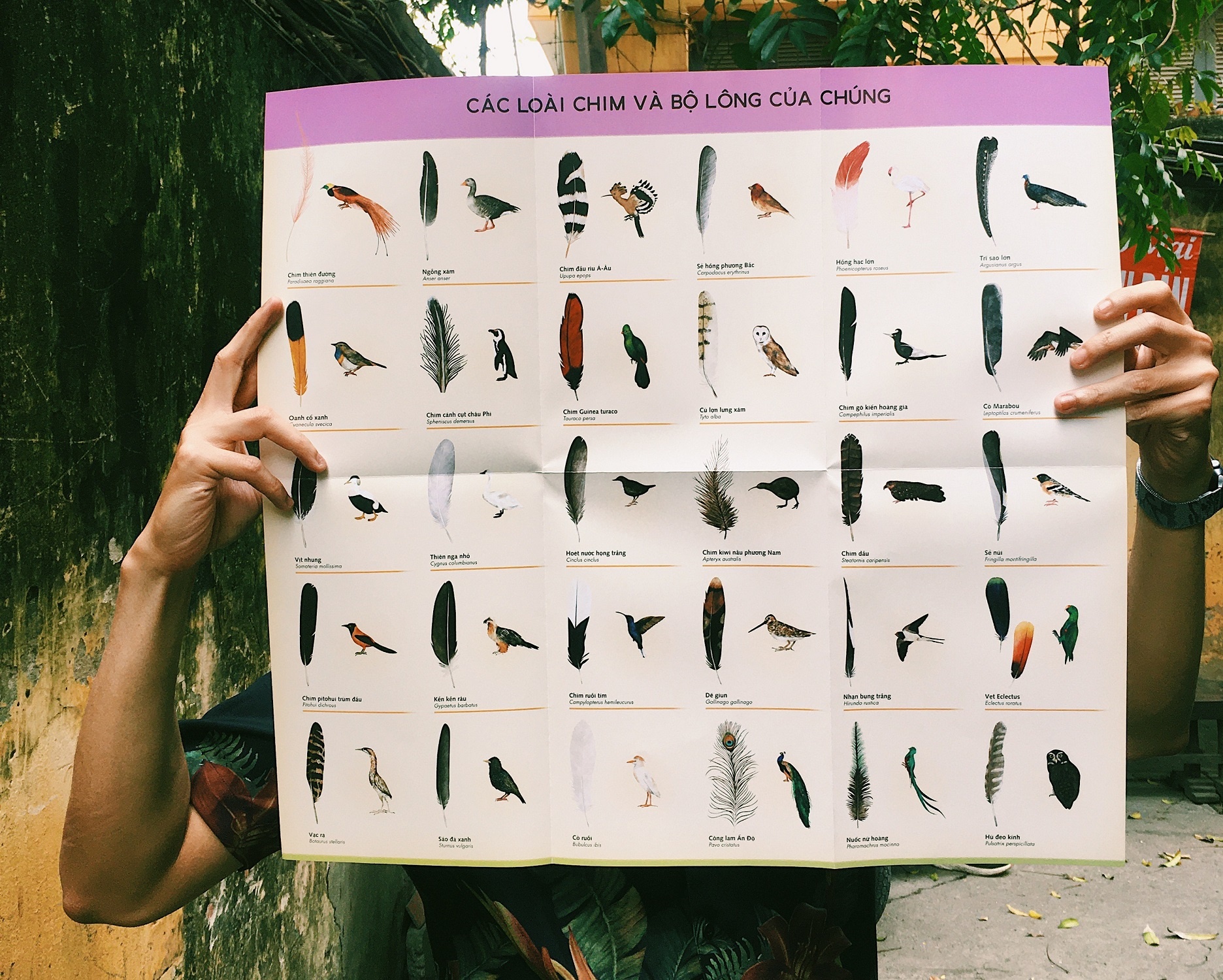 Tat tan tat ve long vu anh 2