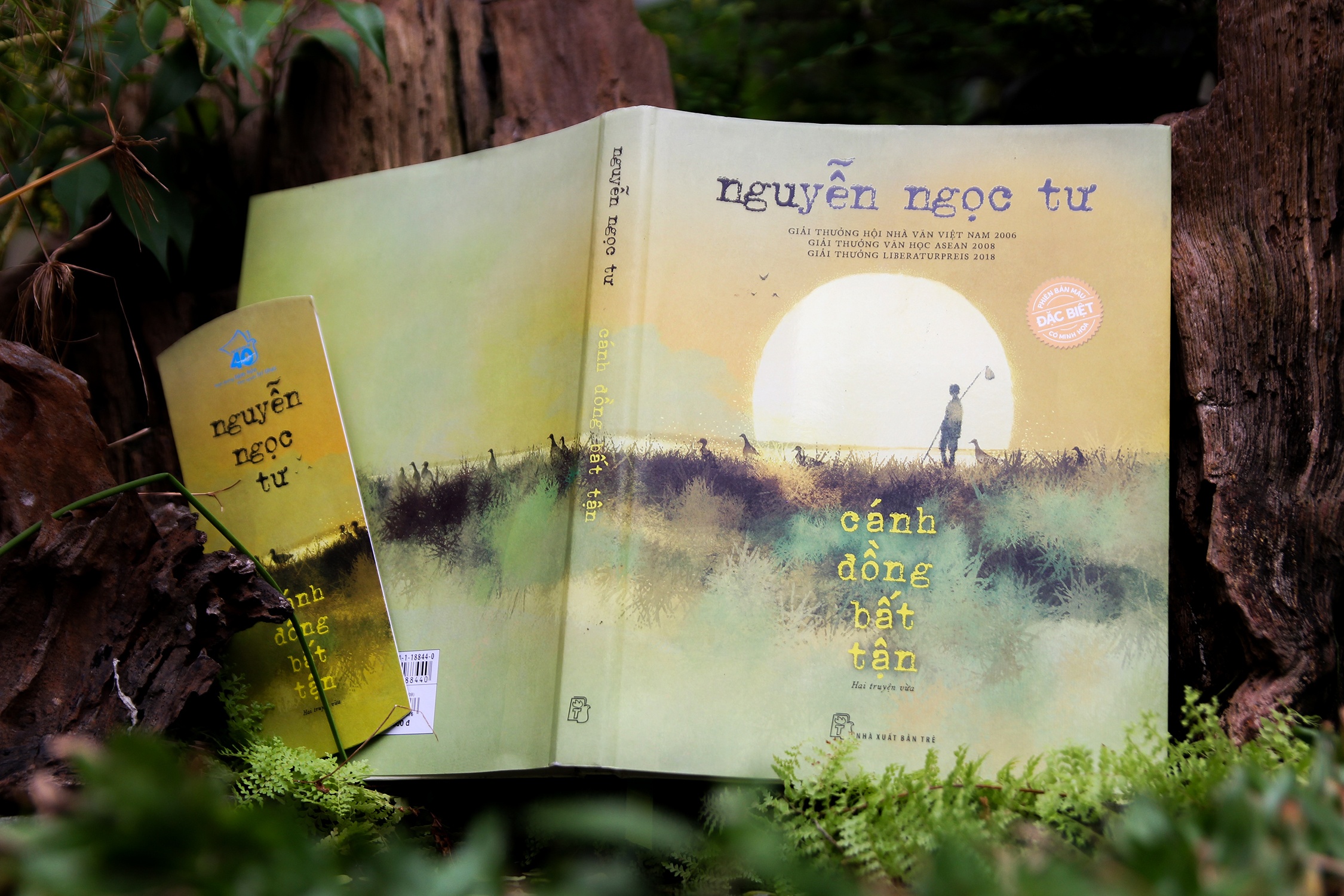 Canh dong bat tan ban dac biet anh 9