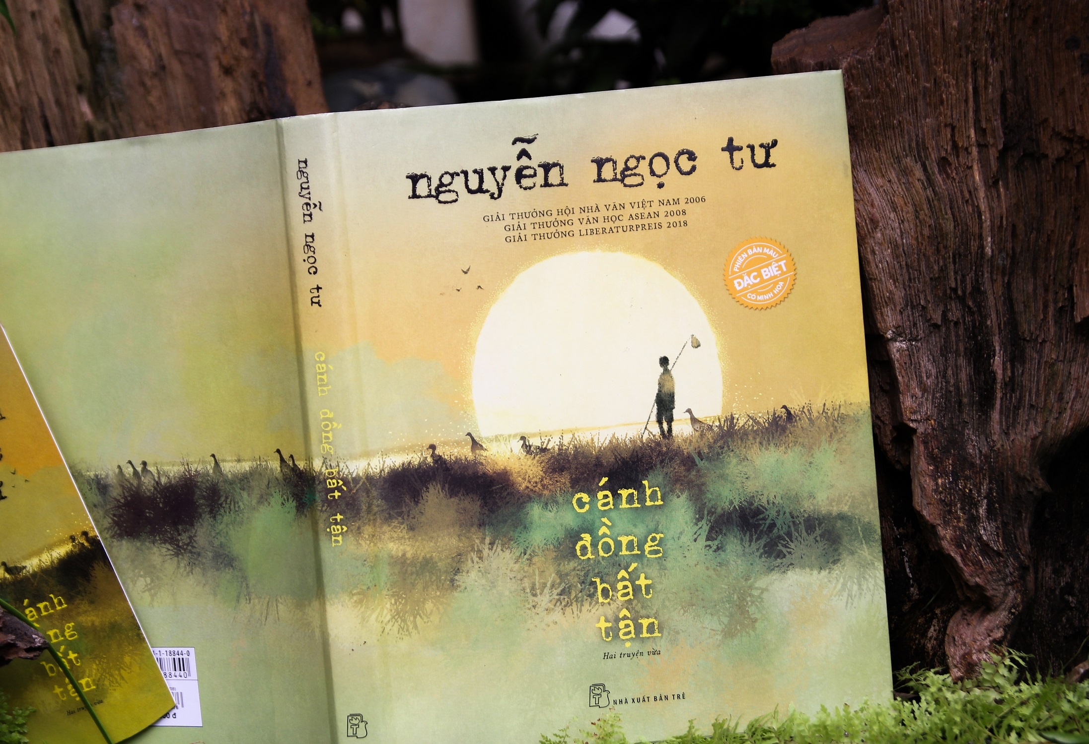 Canh dong bat tan ban dac biet anh 3