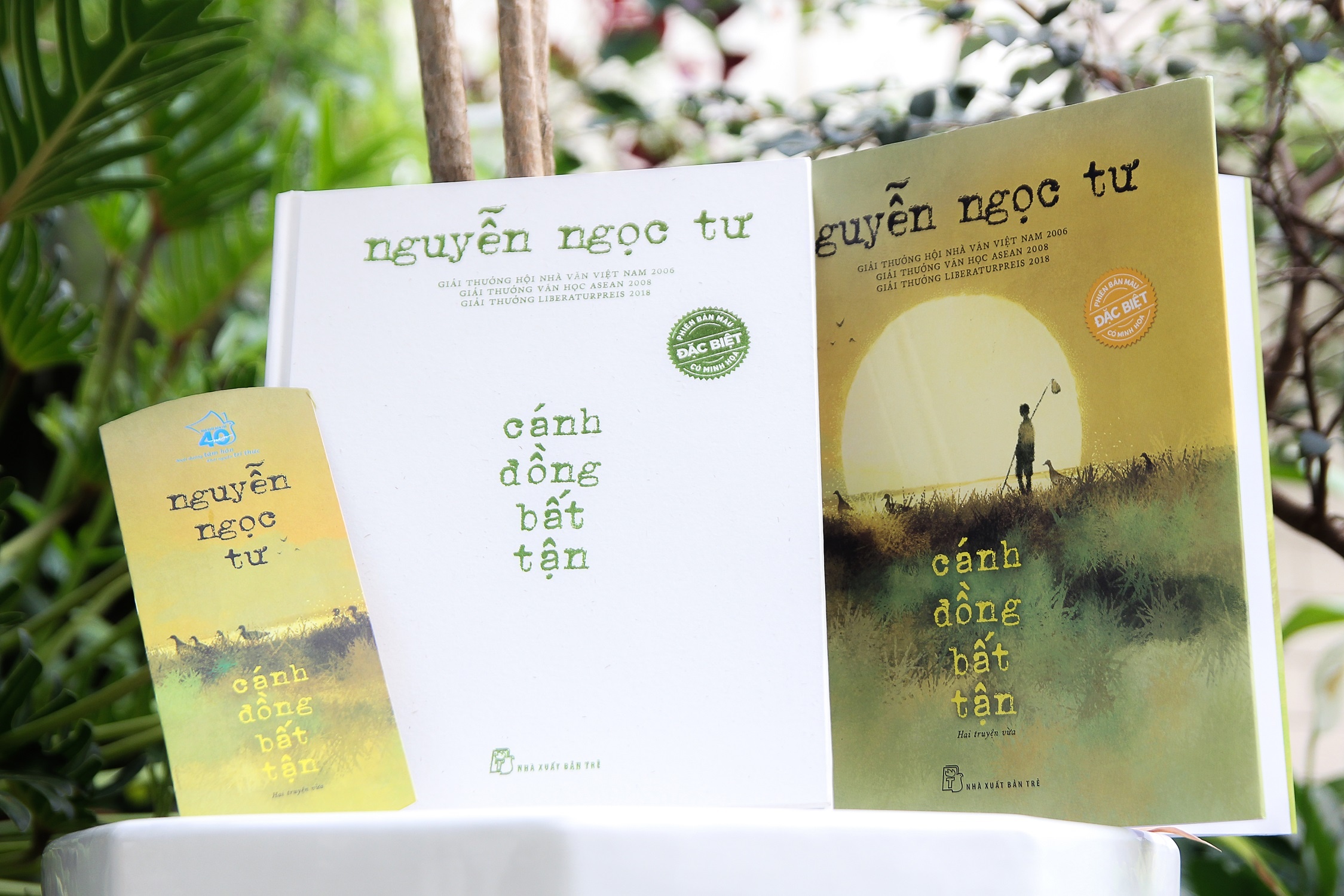 Canh dong bat tan ban dac biet anh 2