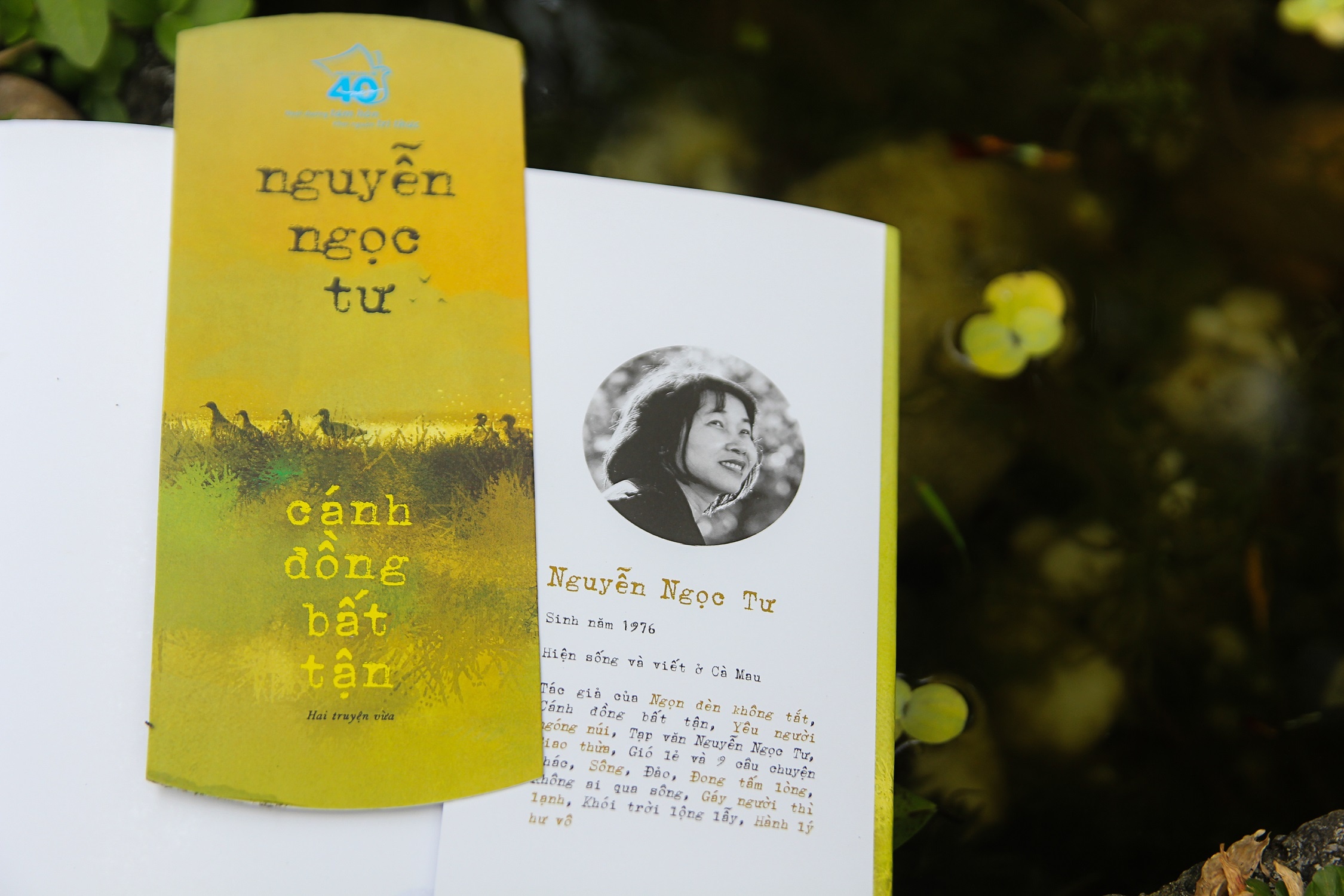 Canh dong bat tan ban dac biet anh 4