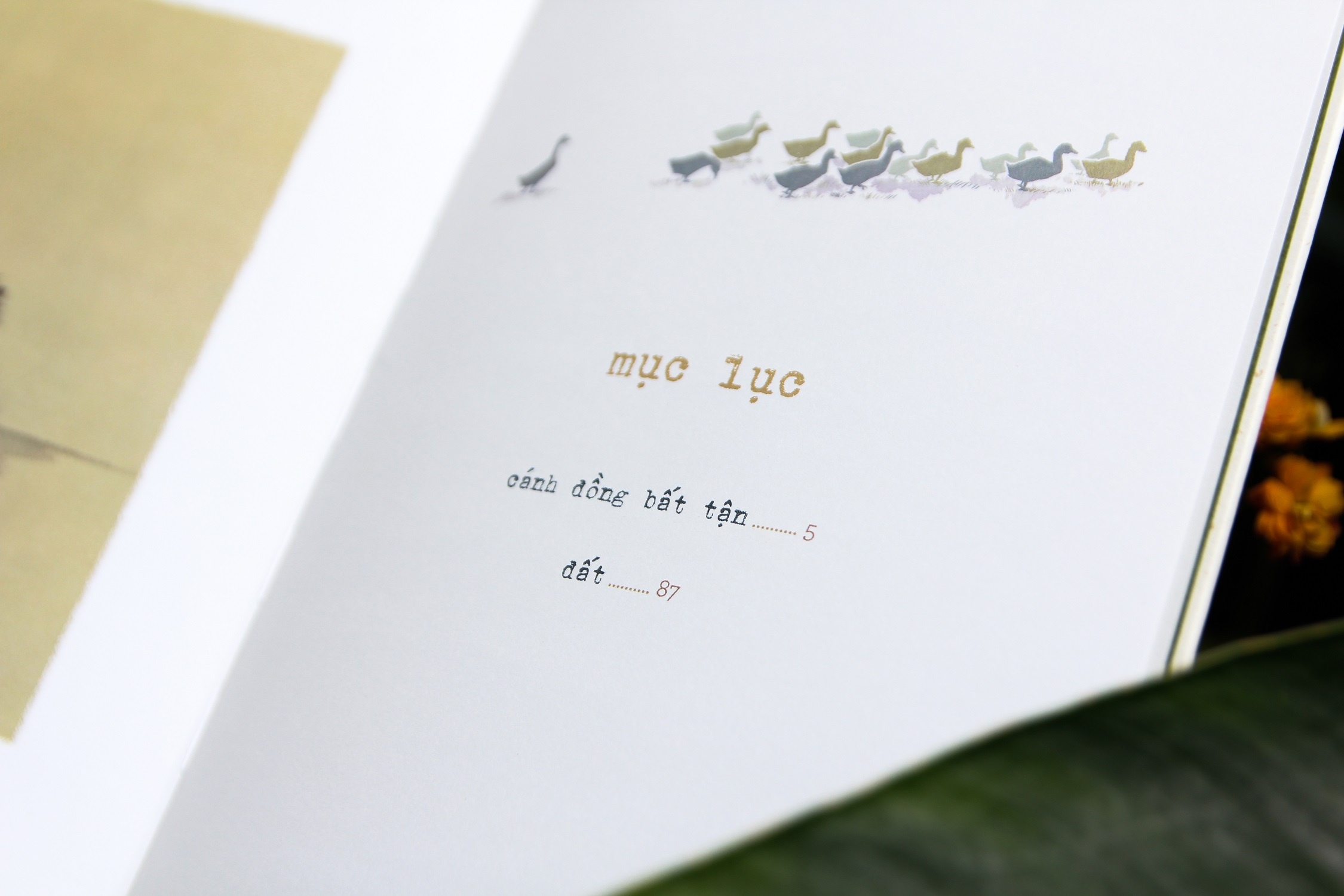 Canh dong bat tan ban dac biet anh 5