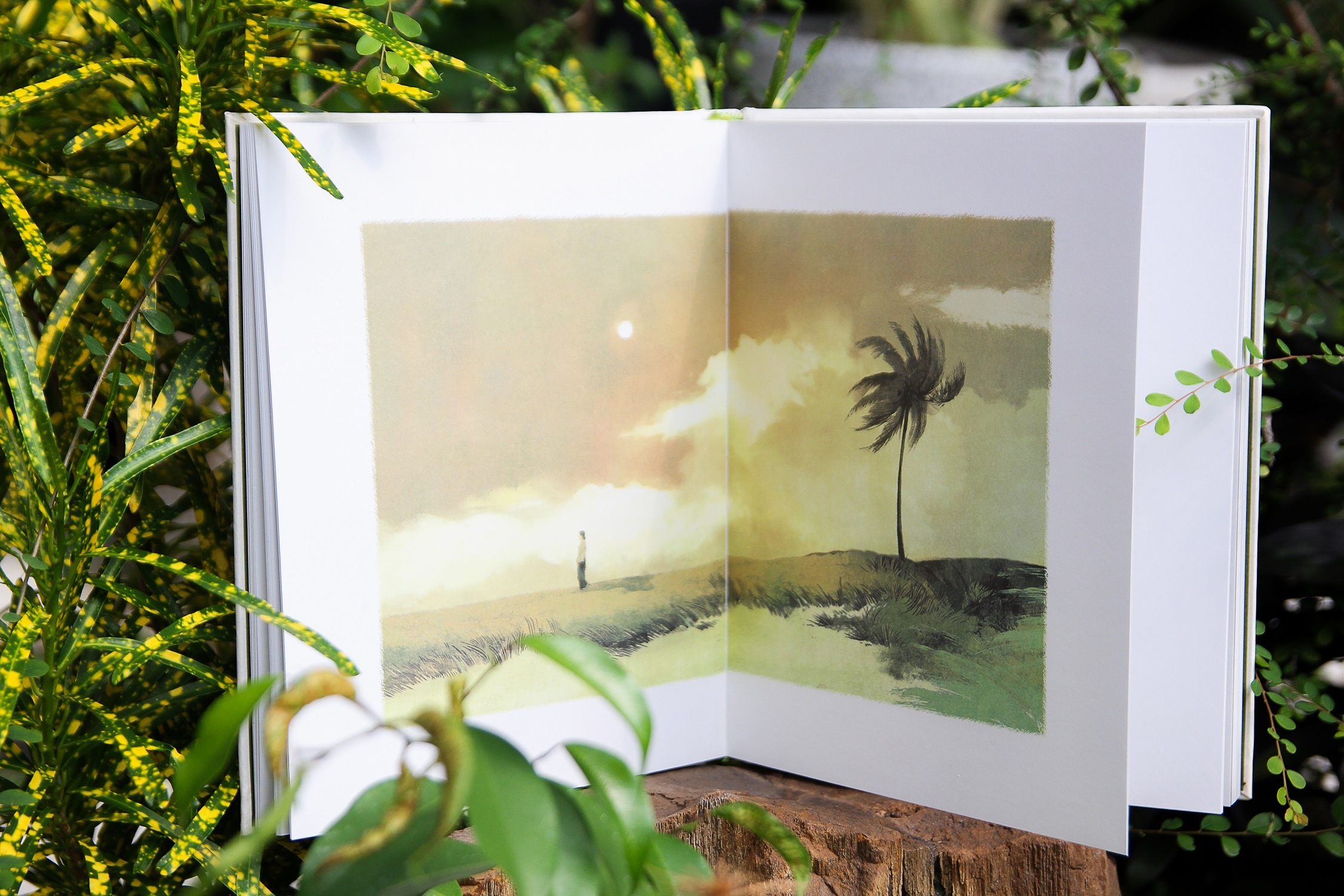 Canh dong bat tan ban dac biet anh 7