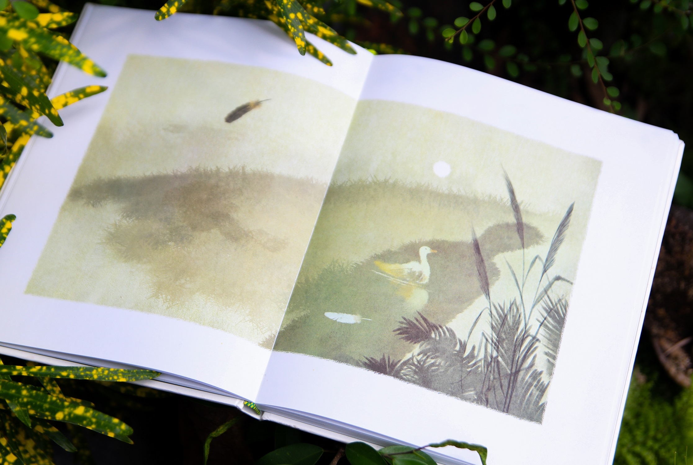 Canh dong bat tan ban dac biet anh 8