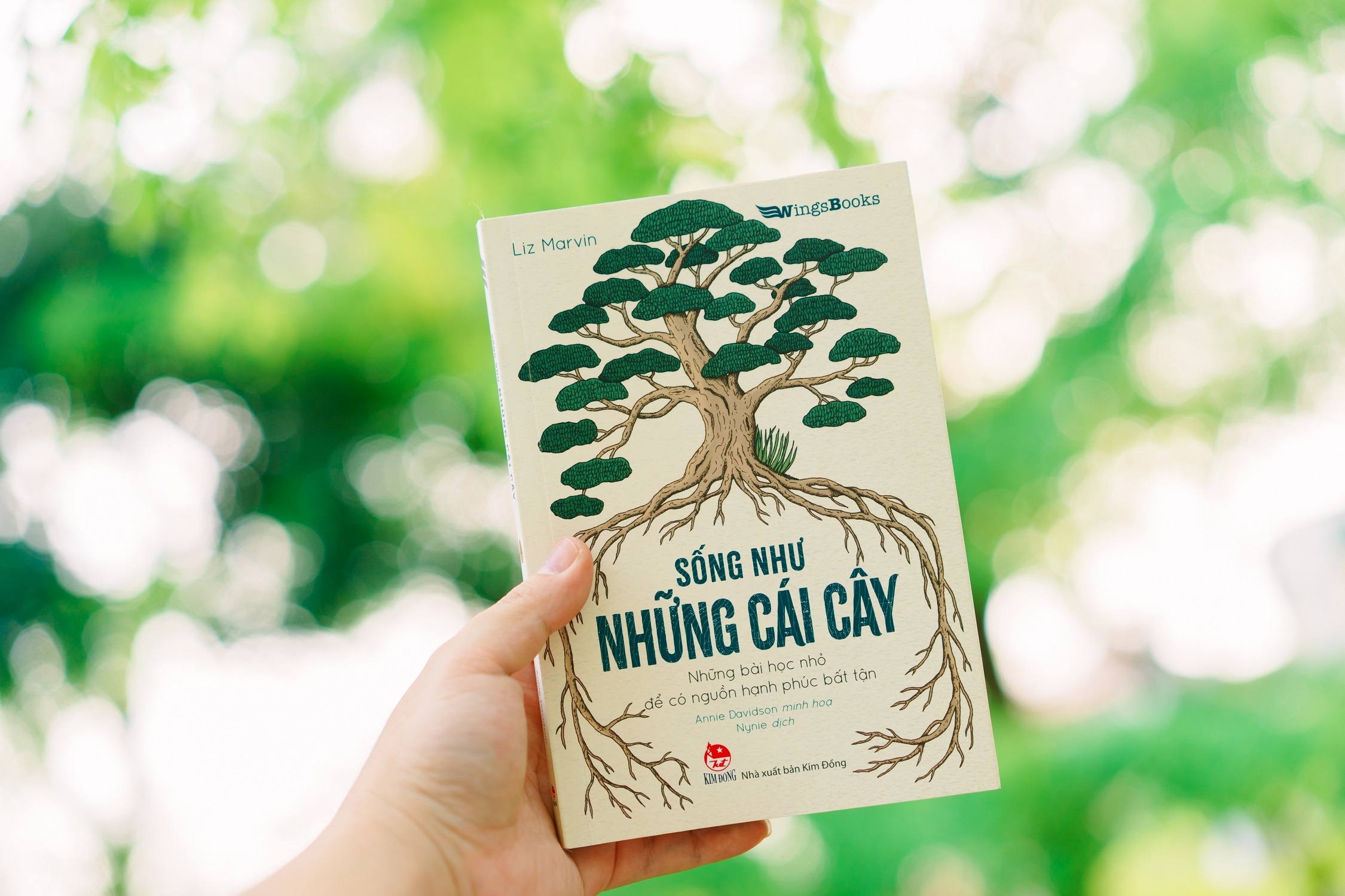 Bai hoc nho tu nhung loai cay de co nguon hanh phuc bat tan hinh anh