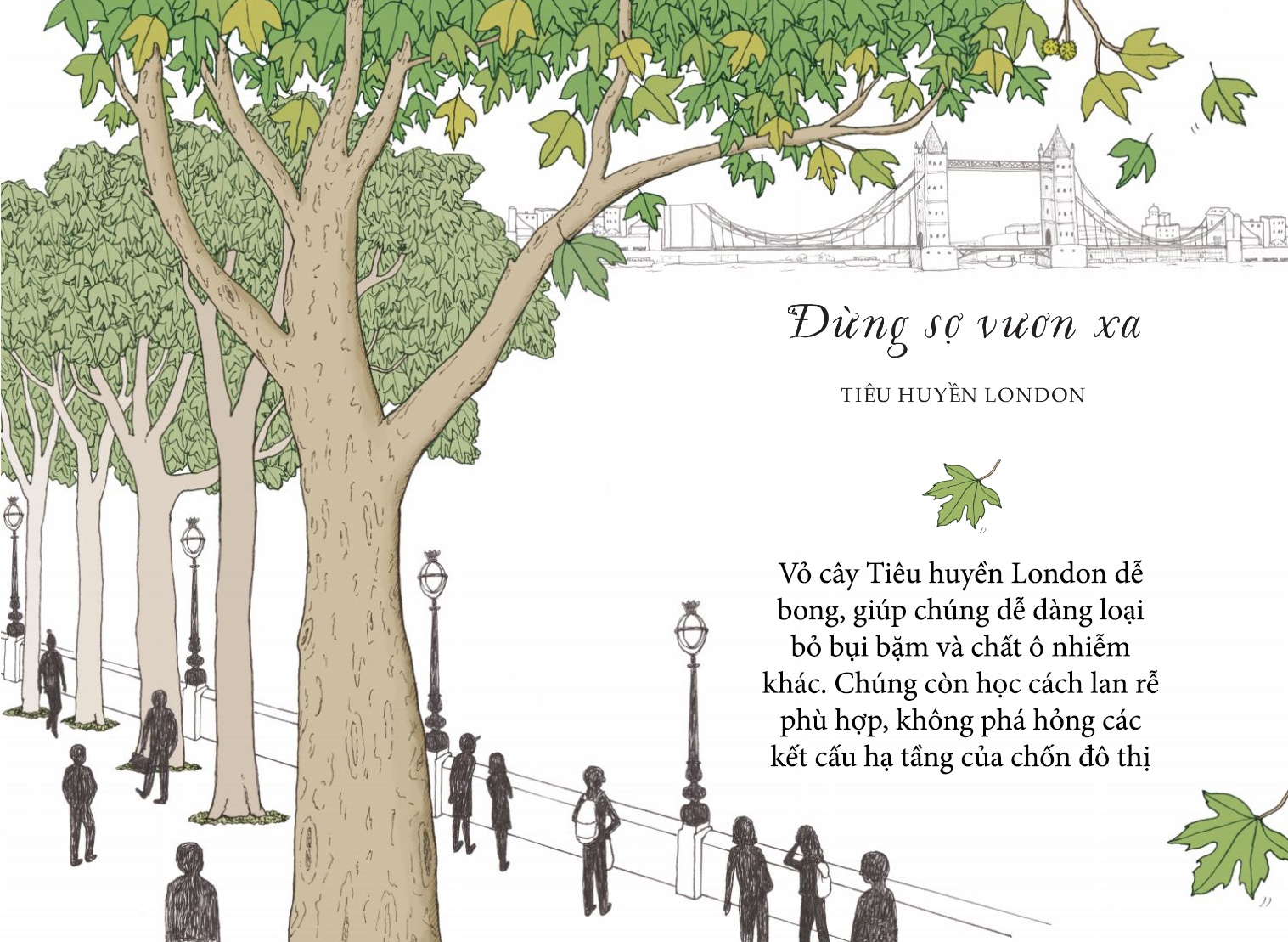 Song nhu nhung cai cay anh 4