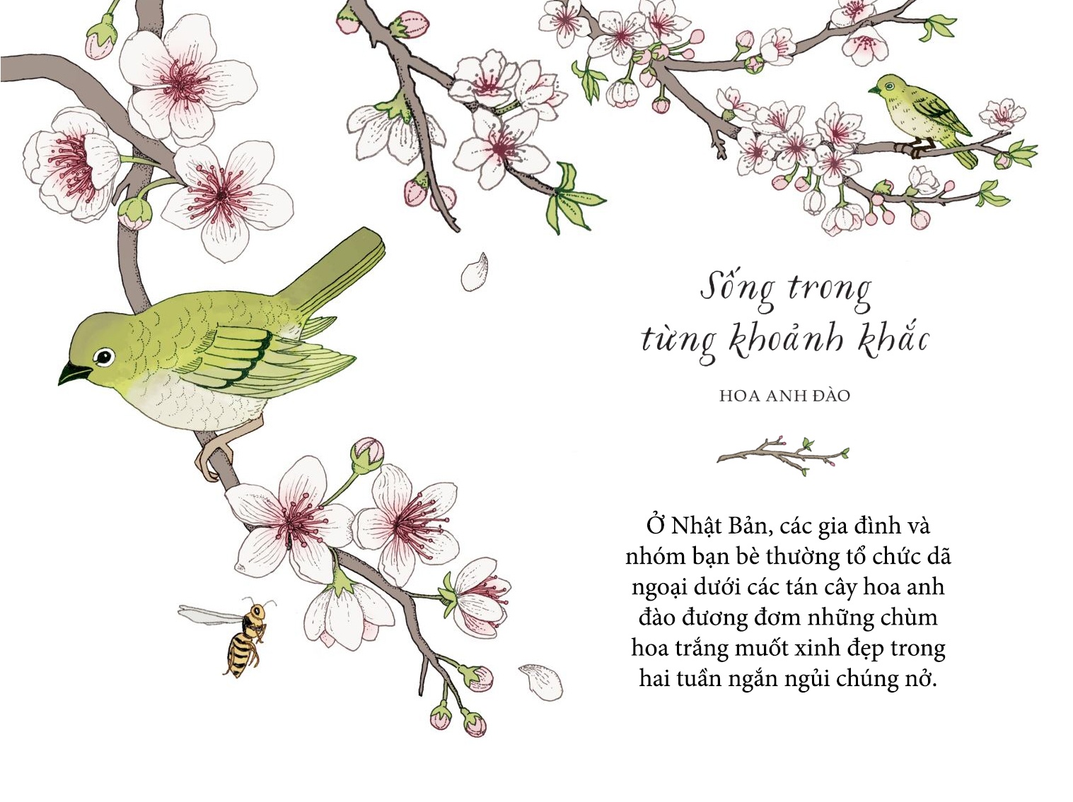 Song nhu nhung cai cay anh 12