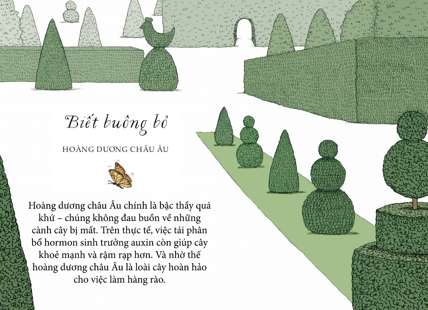 Song nhu nhung cai cay anh 8