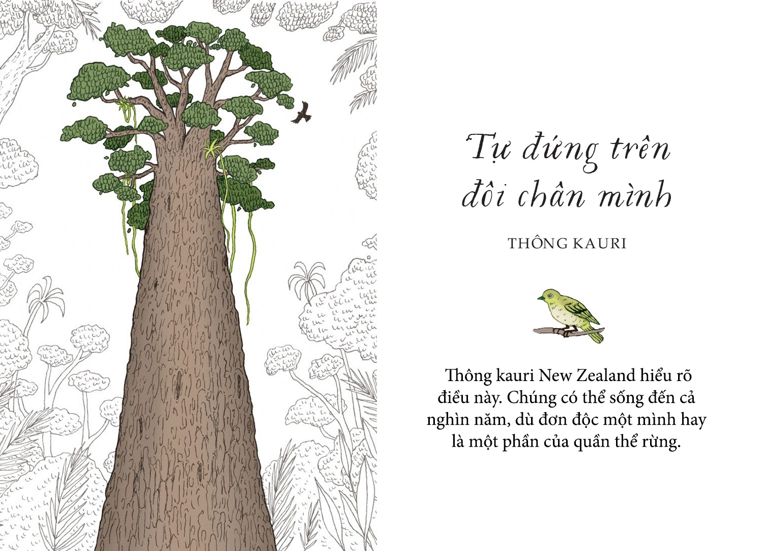 Song nhu nhung cai cay anh 3