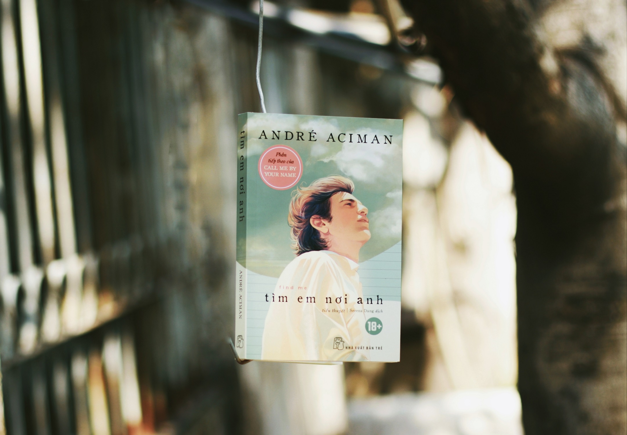 Review sach Tim em noi anh anh 1